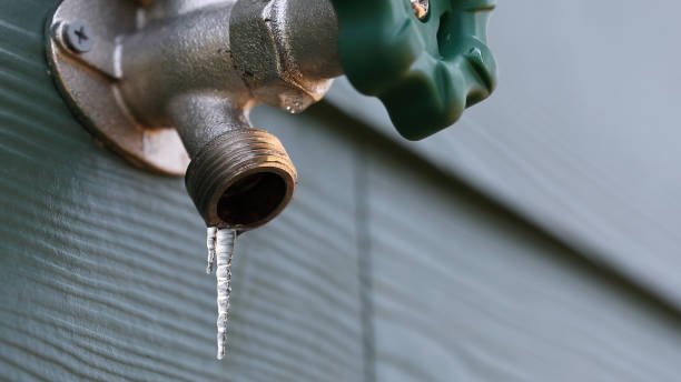 Best Clogged Drain Plumber  in Alvarado, TX